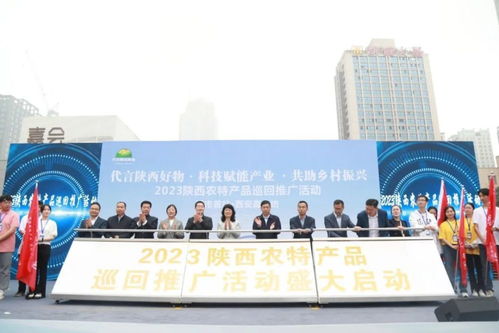 经开区企业石羊集团亮相2023陕西农特产品巡回推广活动 当优质农业品牌遇见艺术策划