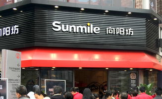 向阳坊加盟指南 费用、流程与无忧加盟网的艺术活动策划优势